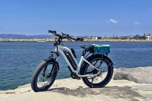 What Features Should I Look for in an Electric Mountain Bike?